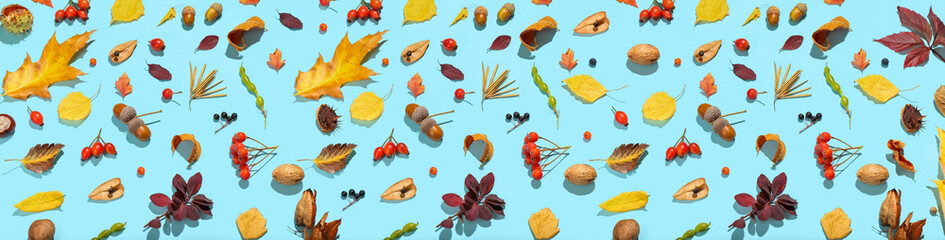 Beautiful autumn leaves, acorns, nuts and berries on light blue background. Banner for design