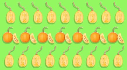 Many pumpkins on green background. Pattern for design