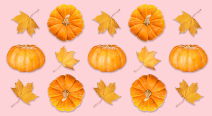 Many pumpkins and autumn leaves on pink background. Pattern for design