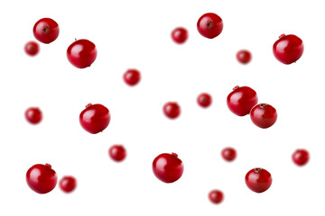Many ripe cranberry isolated on white