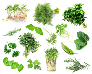 Set of fresh green herbs on white background © Pixel-Shot