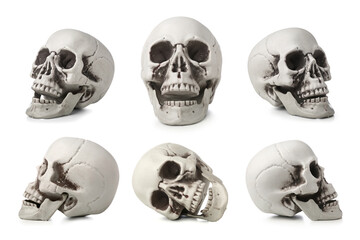 Set of human skulls isolated on white