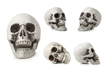 Set of human skulls isolated on white