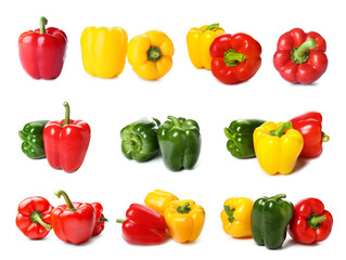 Set of colorful bell pepper isolated on white