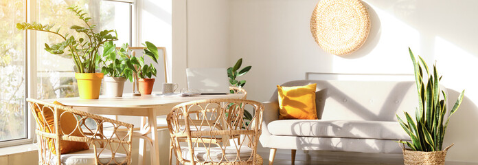 Interior of light living room with table, wicker armchairs, grey sofa and houseplants. Banner for design