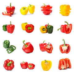 Set of colorful bell pepper isolated on white