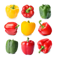 Set of colorful bell pepper isolated on white