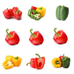Set of colorful bell pepper isolated on white