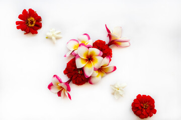 colorful flowers local flora of asia arrangement flat lay postcard style on background white