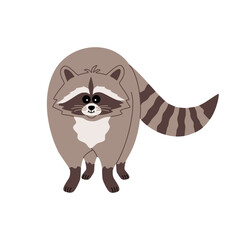 Cute funny raccoon. Adorable fluffy animal. Hand drawn color vector illustration isolated on white background. Modern flat cartoon style.