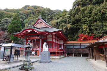 Naklejka premium Nagato-toyokawa-inari-jinjya Shrine and its autumn leaves in the precincts of Tainei-ji Temple at Fukawayumoto in Nagato City in Yamaguchi Prefecture in Japan 日本の山口県長門市深川湯本の大寧寺境内の中にある長門豊川稲荷神社