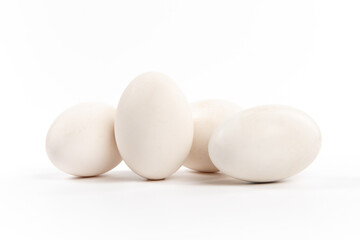 Fresh goose eggs isolated on white background