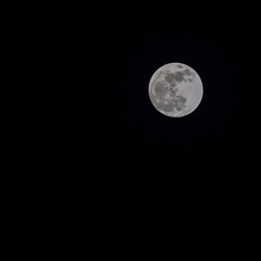 Moon Timelapse, Stock time lapse : Full moon rise in dark nature sky, night time. Full moon disk time lapse with moon light up in night dark black sky. High-quality free video footage or timelapse