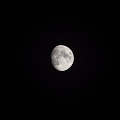 Moon Timelapse, Stock time lapse : Full moon rise in dark nature sky, night time. Full moon disk...