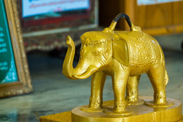 Angthong , Thailand - March, 21, 2022 : Small gold elephant for raise cast lots in Wat Chaiyo Warawithan temple, Angthong province, Thailand.
