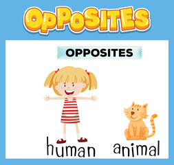 Opposite English words for kids