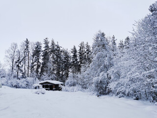 A one-storey wooden house - a bathhouse made of a round dark-colored log in the snow among snow-covered trees.