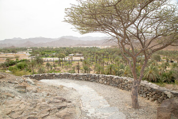 desert path with mountains and valleys dry out of focus with grain © ca