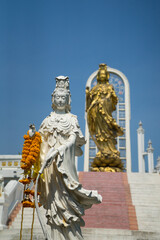 statue of white and gold Guanyin (goddess Buddha) is sacred from Chinese people at Wat Srimahapho temple,Nakhon Pathom,Thailand.