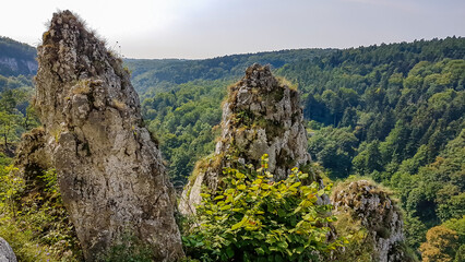 A panoramic view on Skala Biala Reka (the White Hand rock) in the Ojcow National Park near Krakow,...