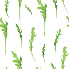 Fresh arugula seamless pattern on white background. Watercolor hand drawing illustration. Art for decoration and design