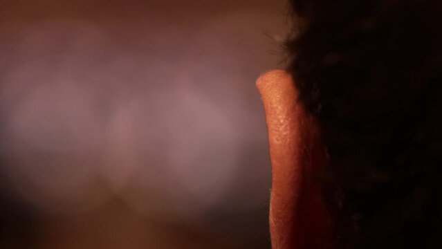Man ear, macro shot from behind. Rear shot of human ear from very close distance, background out of focus with bokeh.