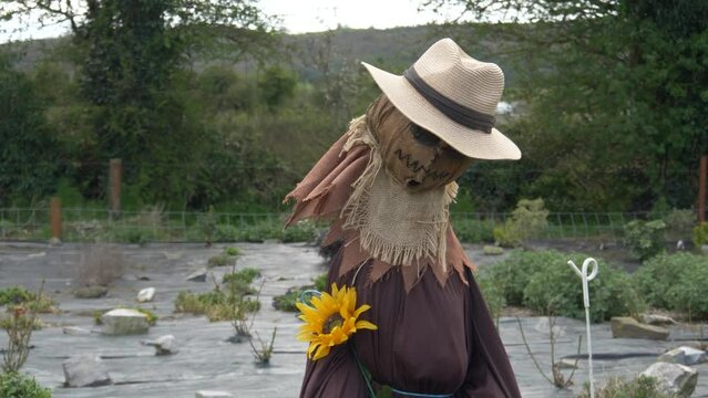 A Humanoid Scarecrow Standing In The Middle Of The Farm In Ireland, County Laois, Europe. Medium Shot