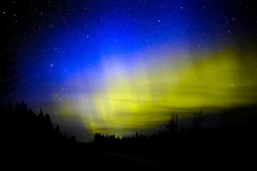 Aurora borealis colored in blue and yellow like the Ukrainian flag