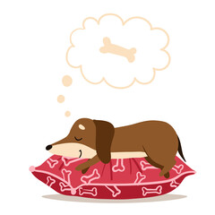 Dachshund sleeps on a red pillow and dreams of a bone. Drawn in cartoon style. Vector illustration for designs, prints, patterns. Isolated on white background