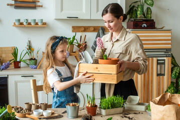 girl and woman transplant flowers and indoor plants. holding a box with bulbs, hyacinths together