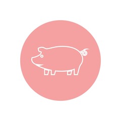 pig logo design icon vector
