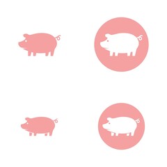 pig logo design icon vector
