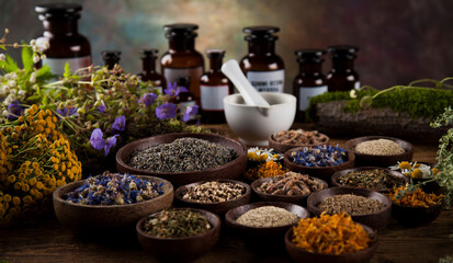Herbs, berries and flowers with mortar, on wooden table background