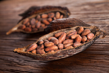 Cocoa pod on wooden background