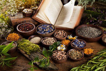 Herbal medicine and book on wooden table background