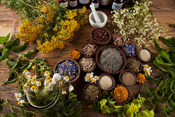 Alternative medicine, dried herbs and mortar on wooden desk background