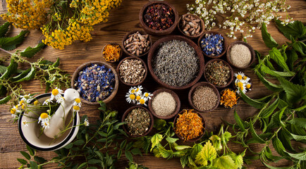 Obraz na płótnie Canvas Alternative medicine, dried herbs and mortar on wooden desk background
