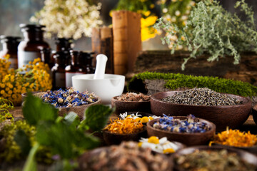 Obraz na płótnie Canvas Herbs medicine,Natural remedy and mortar on vintage wooden desk background