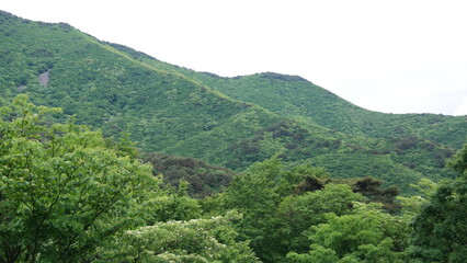 Fototapeta premium Spring scenery of Mt. Gajisan, Gyeongsangnam-do, South Korea