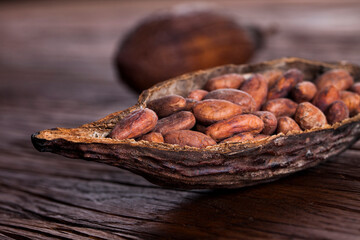 Cocoa pod on wooden table