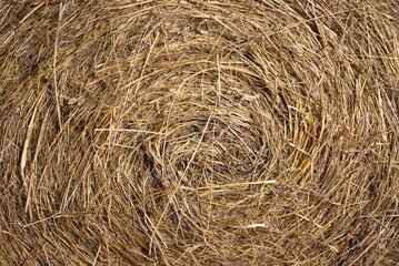 Hay ball texture background