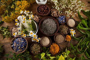 Fototapeta na wymiar Alternative medicine, dried herbs and mortar on wooden desk background