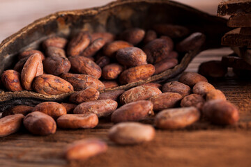 Cocoa pod and cocoa beans on the wooden table