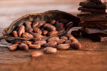 Cocoa pod and cocoa beans on the wooden table