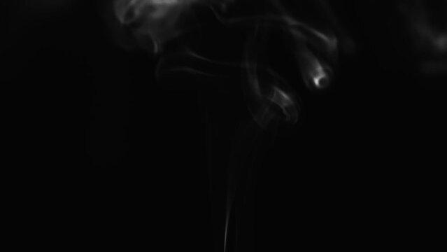 Abstract black and white smoke with a black background in slow motion. Realistic cloud smoke with streamline pattern.