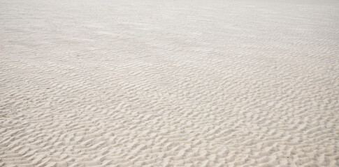texture of beach sand background	