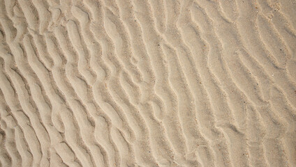 texture of beach sand background	