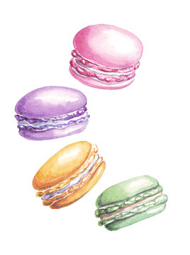 Macaroon. Dessert. Watercolor illustration. Hand-painted