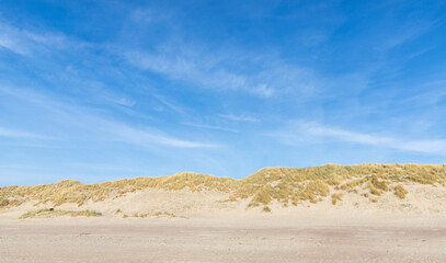 sand dunes in the coast of Nord Sea in Netherlands