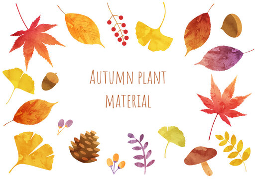 葉っぱ 紅葉 Images Browse 29 722 Stock Photos Vectors And Video Adobe Stock